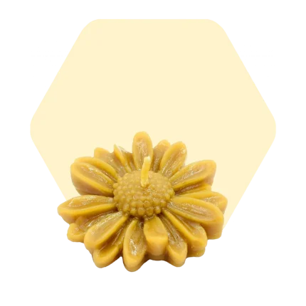 شمع گل بابونه